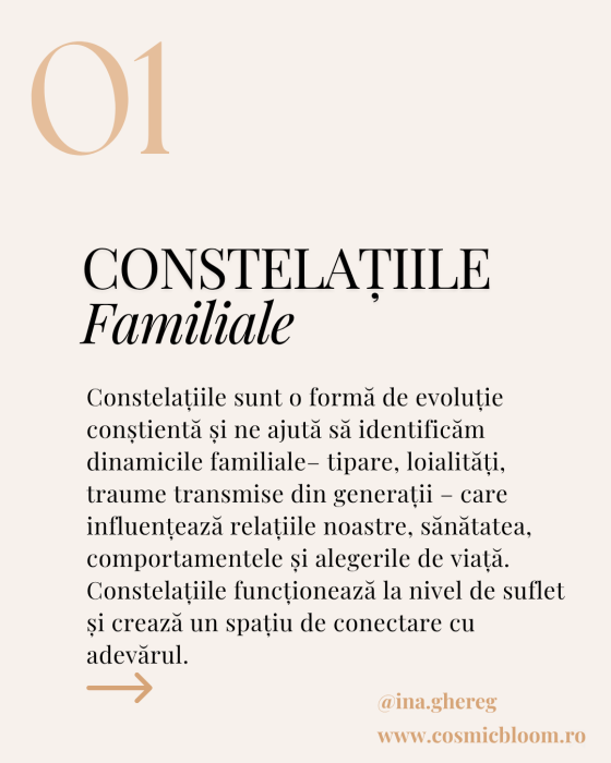 Soartă și Destin Relațiile de familie [2]