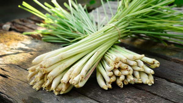 Ulei esential de Lemongrass (15 ml) doTERRA [2]