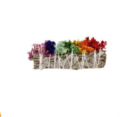 Stick cu Salvie Albă și Lumânărică Cosmic Bloom [1]