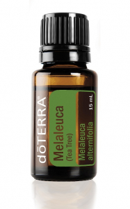 Uleiuri esentiale - Ulei esential de Melaleuca (Tea Tree)  15 ml