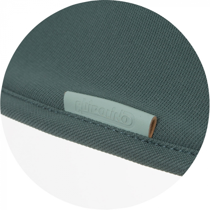 Carucior sport Chipolino Move On aloe [6]