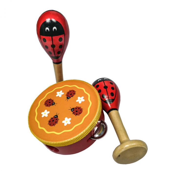Set de instrumente muzicale cu buburuza [2]