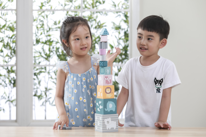 Turn de cuburi montessori cu sortator de forme, Polar B [11]