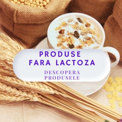 Produse fara Lactoza