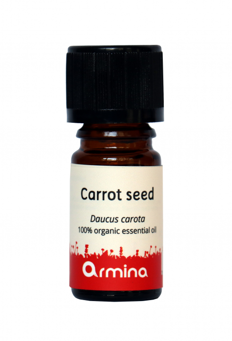 Ulei esential de seminte de morcov (daucus carota) bio 5ml Armina [1]