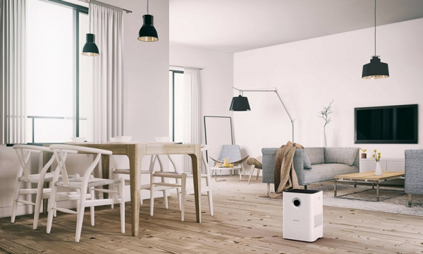 Aparat pentru spalarea aerului Boneco [5]
