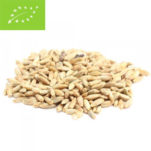 Cereale, fulgi din cereale, mic dejun - Secara bio, boabe, 25kg Pronat