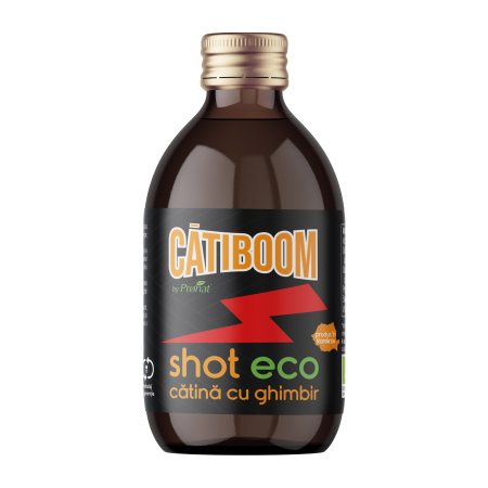 Alimente - Shot bio de catina cu ghimbir, 100ml CatiBoom