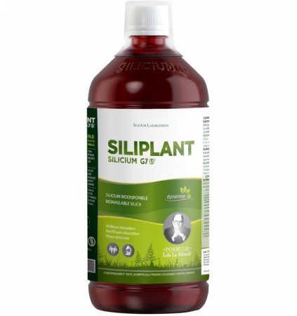 Silicium Espana Laboratorios - Siliciu G7 Siliplant Siliciu organic extras din planta coada-calului, 1000ml