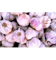 Fructe si legume Bio - Usturoi violet romanesc bio, 1000 g