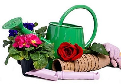 Un set de accesorii pentru grădinărit