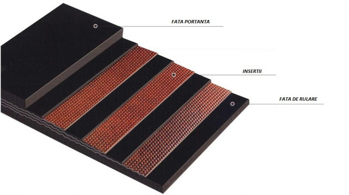 Banda transportoare din cauciuc DBP WearTECH EP400/3-10(4+2)x650mm [3]