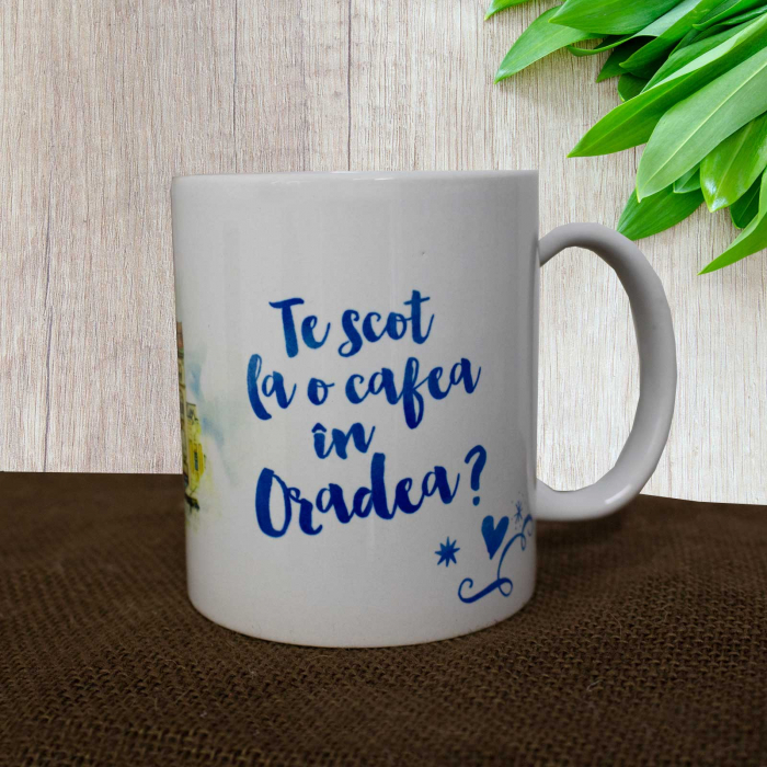 Cana suvenir "Palatul Vulturul Negru" Oradea - (Te scot la o cafea in Oradea?) [3]