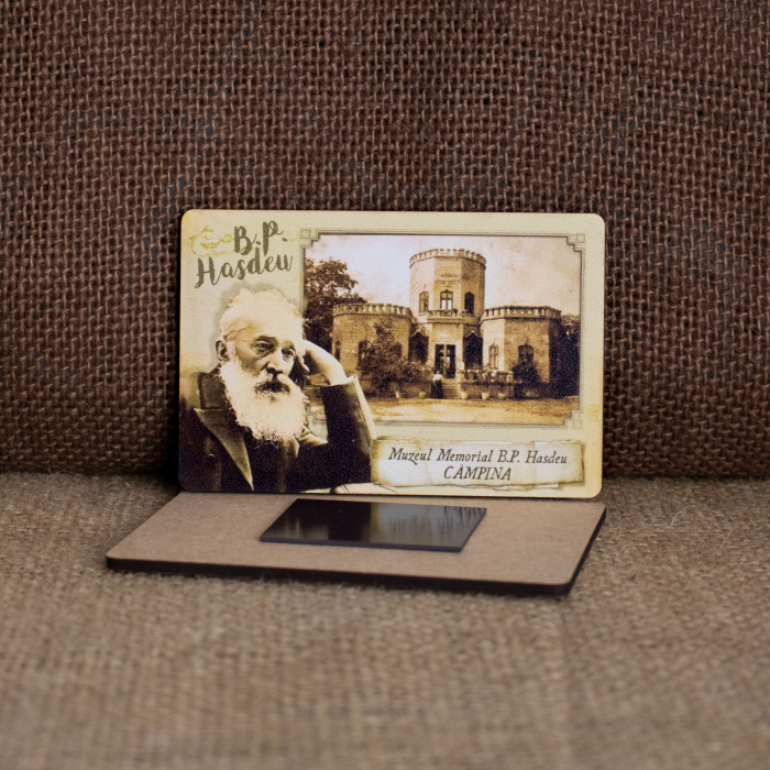Magnet de frigider din lemn, vintage, Castelul Julia Hasdeu [2]