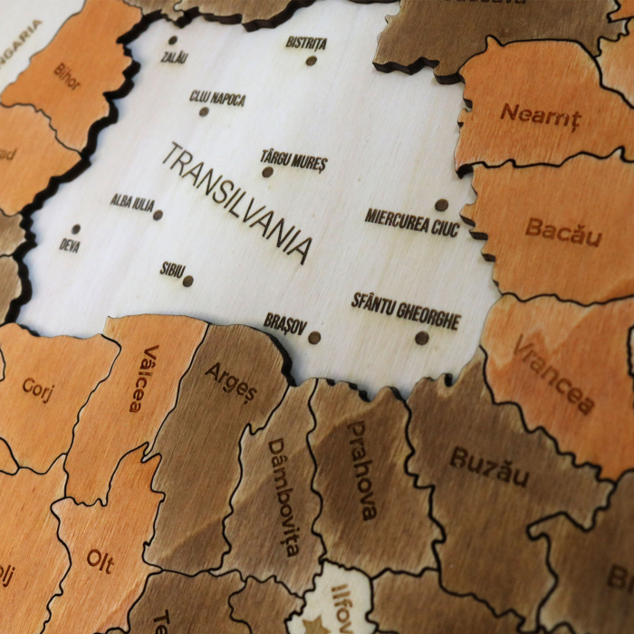 Puzzle Educativ Din Lemn, Gravat, Harta Romaniei Pe Judete Si Orase [6]
