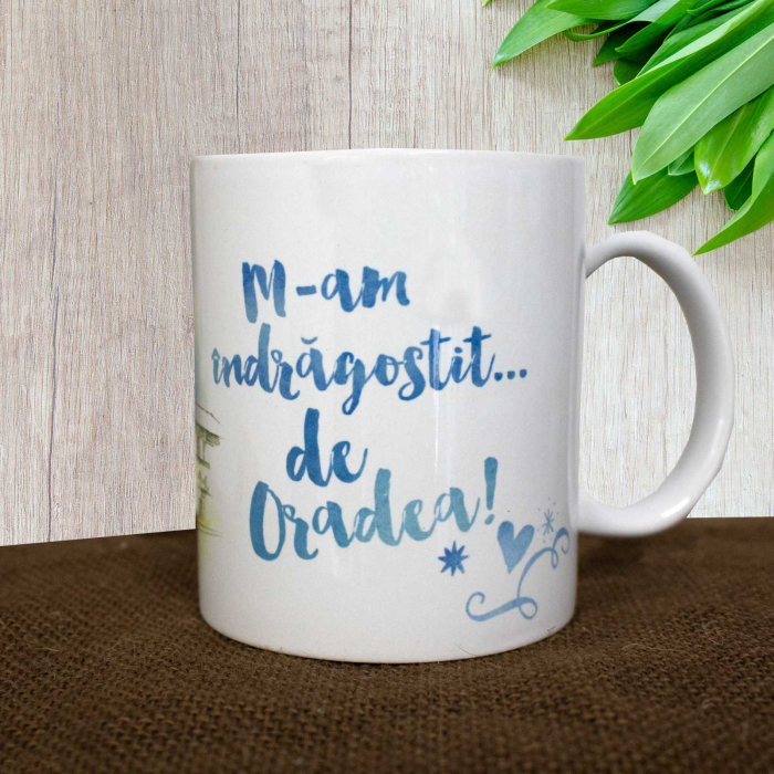 Cana suvenir Oradea  - cele mai frumoase cladiri Art Nouveau (set 4 bucati) [12]