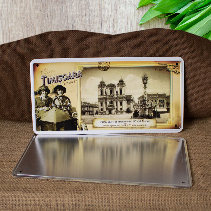 Tablou metalic decorativ, vintage "Piata Unirii si Monumentul Sfintei Treimi", Timisoara [4]