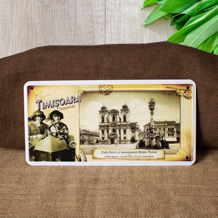 Tablou metalic decorativ, vintage "Piata Unirii si Monumentul Sfintei Treimi", Timisoara [1]