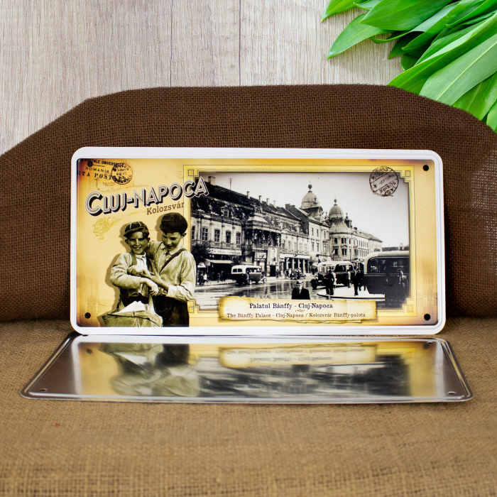 Tablou metalic suvenir, vintage "Palatul Banffy" - Cluj Napoca (Muzeul de Arta) [4]