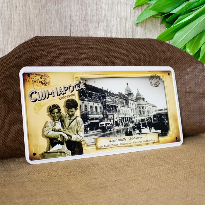 Tablou metalic suvenir, vintage "Palatul Banffy" - Cluj Napoca (Muzeul de Arta) [2]