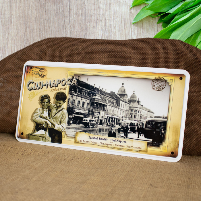 Tablou metalic suvenir, vintage "Palatul Banffy" - Cluj Napoca (Muzeul de Arta) [3]