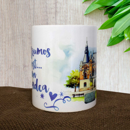 Cana suvenir "Palatul Episcopiei" Oradea - (Ce frumos a fost...in Oradea) [3]