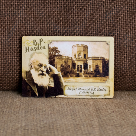 Castelul Julia Hasdeu (Muzeul Memorial B.P. Hasdeu) - Magnet de frigider din lemn, vintage, Castelul Julia Hasdeu