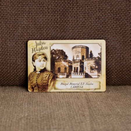 Magneti de frigider din lemn, VINTAGE - Magnet de frigider din lemn, vintage, Castelul Julia Hasdeu (Julia Hasdeu)