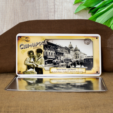 Tablou metalic suvenir, vintage "Palatul Banffy" - Cluj Napoca (Muzeul de Arta) [3]