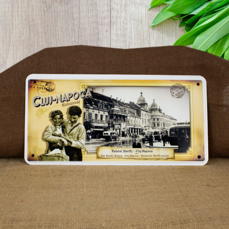 Muzeul de Arta Cluj Napoca - Tablou metalic suvenir, vintage "Palatul Banffy" - Cluj Napoca (Muzeul de Arta)