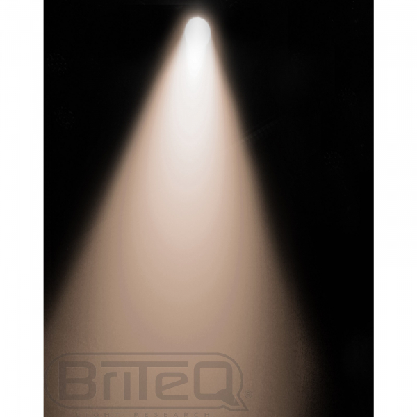 Briteq COB PAR56-100WW Black [3]