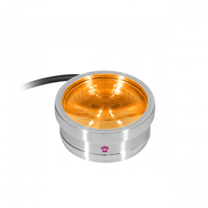 ApeLabs ApeCoin V2 single unit [3]