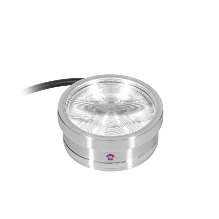 ApeLabs ApeCoin V2 single unit [5]