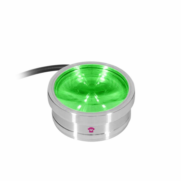 ApeLabs ApeCoin V2 single unit [4]