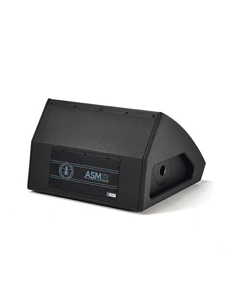 Active Coaxial Stage Monitor ANT ASM 12 [2]