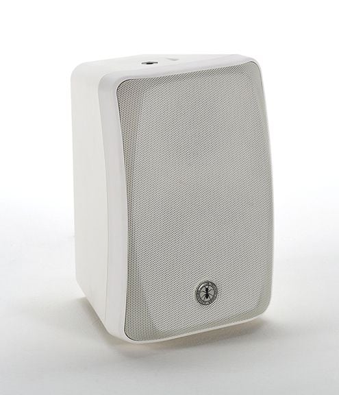 Passive Speakers ANT BBM 5 P [4]