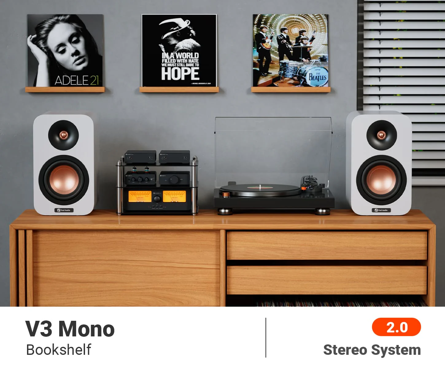 Fosi Audio V3 Mono [4]