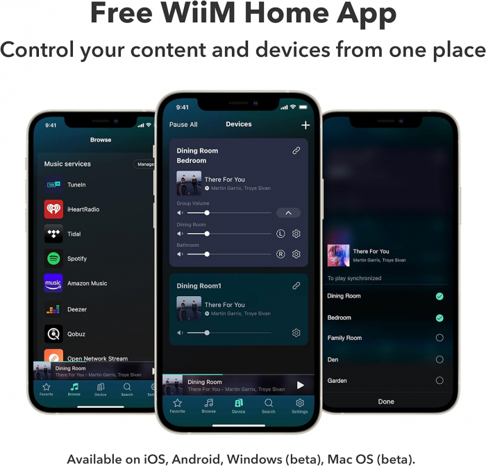 Wiim PRO PLUS Multiroom Streamer [5]