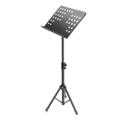 Gravity NS 411 [2]