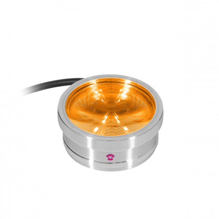 ApeLabs ApeCoin V2 single unit [2]