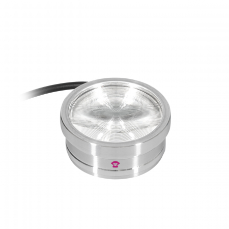 ApeLabs ApeCoin V2 single unit [4]