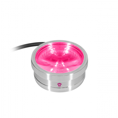 ApeLabs ApeCoin V2 single unit [1]