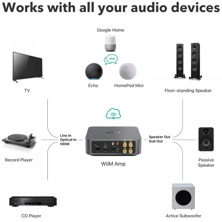 Wiim Amp Amplificator si Streamer 2x 60W Hi-Res [5]