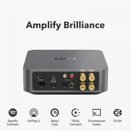 Wiim Amp Amplificator si Streamer 2x 60W Hi-Res [1]