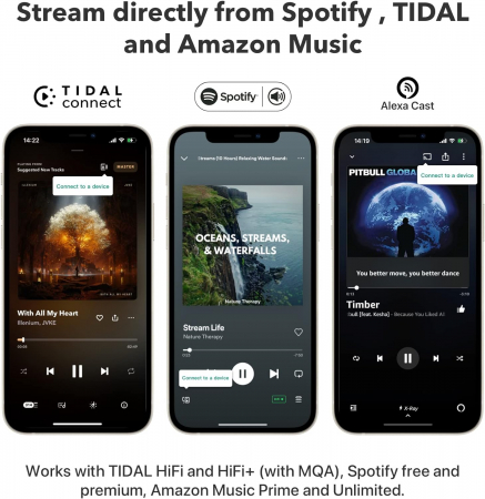 Wiim PRO PLUS Multiroom Streamer [7]