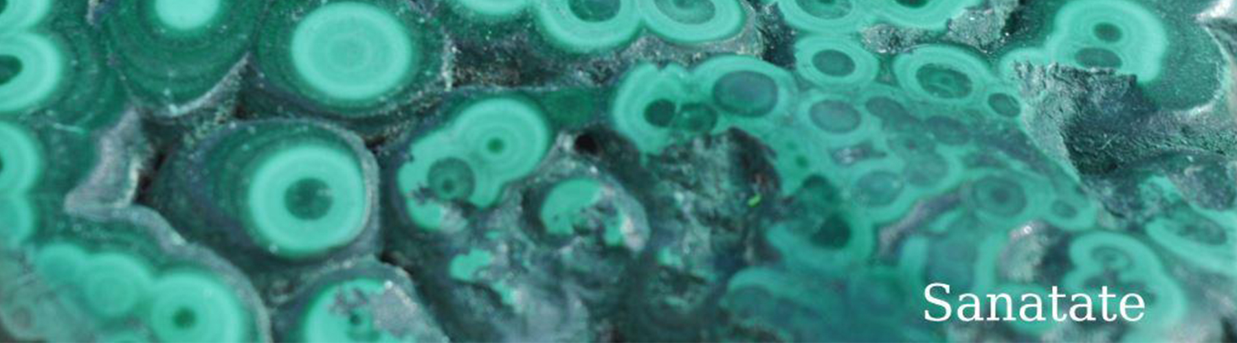 sanatate