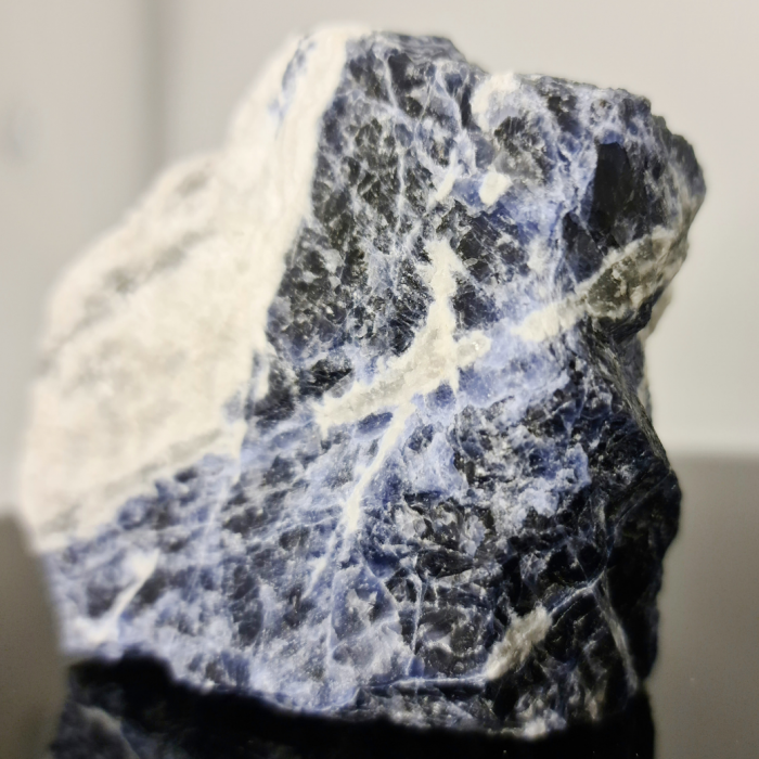 succes la birou [12]