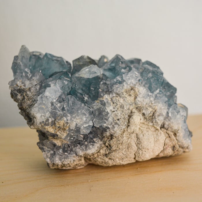 succes la birou [11]