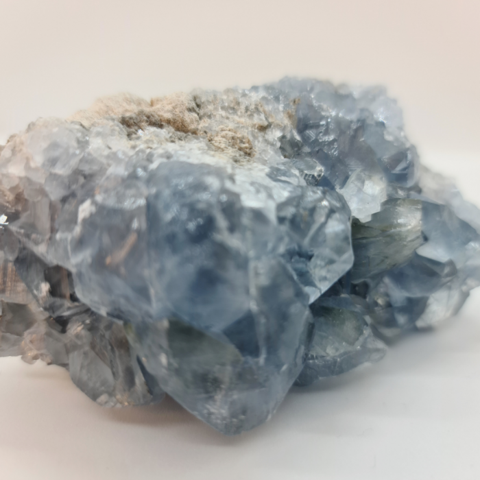 succes la birou [10]