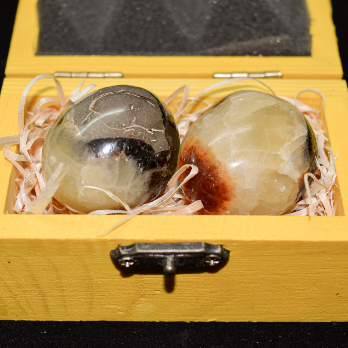 cutia cu piatra dragonului [2]